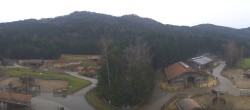 Archiv Foto Webcam Henndorf am Wallersee - Gut Aiderbichl 10:00