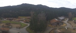 Archiv Foto Webcam Henndorf am Wallersee - Gut Aiderbichl 08:00