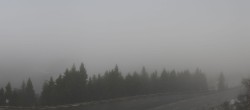 Archived image Webcam Berchtesgaden - Rossfeld Panoramic Road 09:00