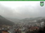 Archived image Webcam Ilmenau: View Manebach 09:00