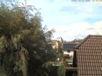 Archiv Foto Webcam Möriken: Blick auf Schloss Wildegg 11:00