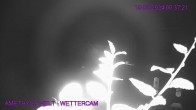 Archived image Webcam Maissau - Amethyst World 23:00