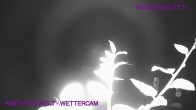 Archived image Webcam Maissau - Amethyst World 01:00