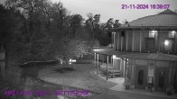 Archived image Webcam Maissau - Amethyst World 15:00