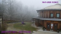 Archiv Foto Webcam Maissau - Amethyst Welt 09:00