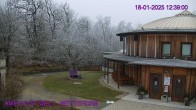 Archiv Foto Webcam Maissau - Amethyst Welt 11:00