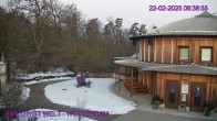 Archiv Foto Webcam Maissau - Amethyst Welt 05:00