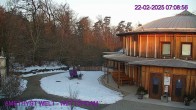 Archiv Foto Webcam Maissau - Amethyst Welt 06:00