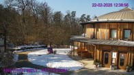 Archiv Foto Webcam Maissau - Amethyst Welt 11:00