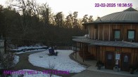 Archiv Foto Webcam Maissau - Amethyst Welt 15:00