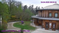 Archived image Webcam Maissau - Amethyst World 06:00