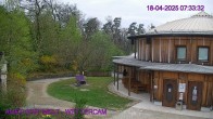 Archived image Webcam Maissau - Amethyst World 07:00