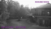 Archiv Foto Webcam Maissau - Amethyst Welt 19:00