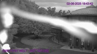 Archiv Foto Webcam Maissau - Amethyst Welt 19:00