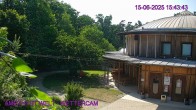 Archiv Foto Webcam Maissau - Amethyst Welt 15:00