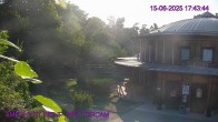 Archiv Foto Webcam Maissau - Amethyst Welt 17:00