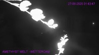 Archiv Foto Webcam Maissau - Amethyst Welt 01:00