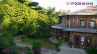 Archiv Foto Webcam Maissau - Amethyst Welt 05:00