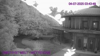 Archiv Foto Webcam Maissau - Amethyst Welt 03:00