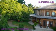 Archiv Foto Webcam Maissau - Amethyst Welt 05:00