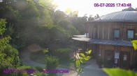 Archiv Foto Webcam Maissau - Amethyst Welt 17:00