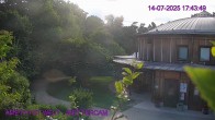 Archived image Webcam Maissau - Amethyst World 17:00