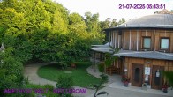 Archived image Webcam Maissau - Amethyst World 05:00