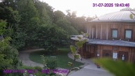Archiv Foto Webcam Maissau - Amethyst Welt 19:00
