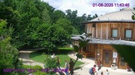 Archiv Foto Webcam Maissau - Amethyst Welt 11:00