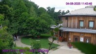 Archiv Foto Webcam Maissau - Amethyst Welt 11:00