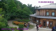 Archiv Foto Webcam Maissau - Amethyst Welt 10:00