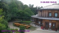 Archiv Foto Webcam Maissau - Amethyst Welt 16:00
