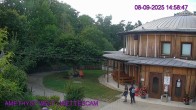 Archiv Foto Webcam Maissau - Amethyst Welt 12:00