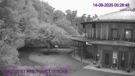 Archiv Foto Webcam Maissau - Amethyst Welt 05:00