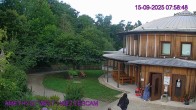 Archiv Foto Webcam Maissau - Amethyst Welt 08:00