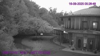 Archiv Foto Webcam Maissau - Amethyst Welt 05:00