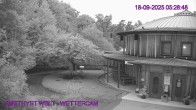 Archiv Foto Webcam Maissau - Amethyst Welt 05:00