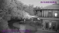 Archiv Foto Webcam Maissau - Amethyst Welt 05:00