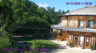 Archiv Foto Webcam Maissau - Amethyst Welt 11:00