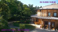 Archiv Foto Webcam Maissau - Amethyst Welt 13:00