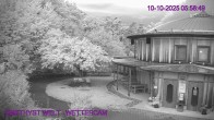 Archiv Foto Webcam Maissau - Amethyst Welt 06:00