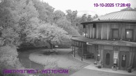 Archiv Foto Webcam Maissau - Amethyst Welt 17:00
