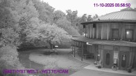 Archiv Foto Webcam Maissau - Amethyst Welt 06:00