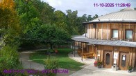 Archiv Foto Webcam Maissau - Amethyst Welt 11:00