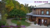 Archiv Foto Webcam Maissau - Amethyst Welt 13:00