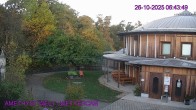 Archived image Webcam Maissau - Amethyst World 05:00