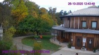 Archived image Webcam Maissau - Amethyst World 11:00