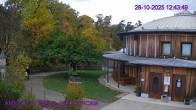 Archiv Foto Webcam Maissau - Amethyst Welt 11:00