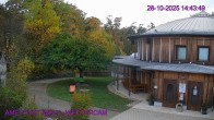 Archiv Foto Webcam Maissau - Amethyst Welt 13:00