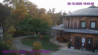 Archiv Foto Webcam Maissau - Amethyst Welt 15:00
